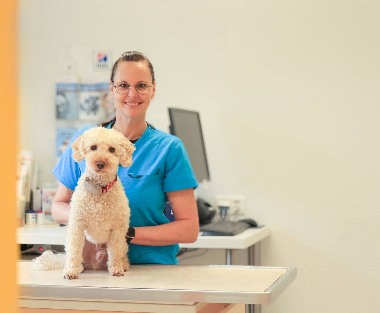 Foto Kim Meyer Foto Kim Meyer